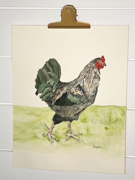Big Roo the Rooster, ORIGINAL (not print) 11 X 14 Watercolor Painting