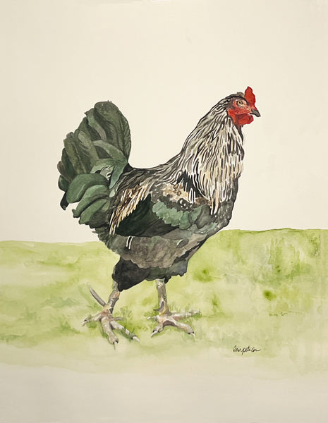 Big Roo the Rooster, ORIGINAL (not print) 11 X 14 Watercolor Painting