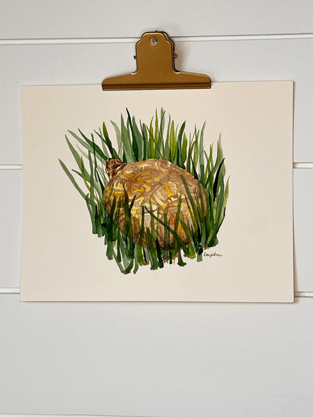Box Turtle painting, ORIGINAL (not print) 10 X 8 Watercolor Painting