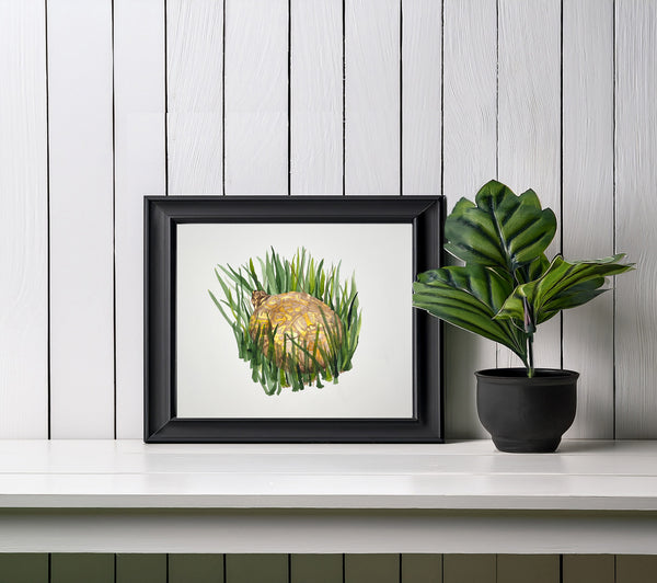 Box Turtle painting, ORIGINAL (not print) 10 X 8 Watercolor Painting