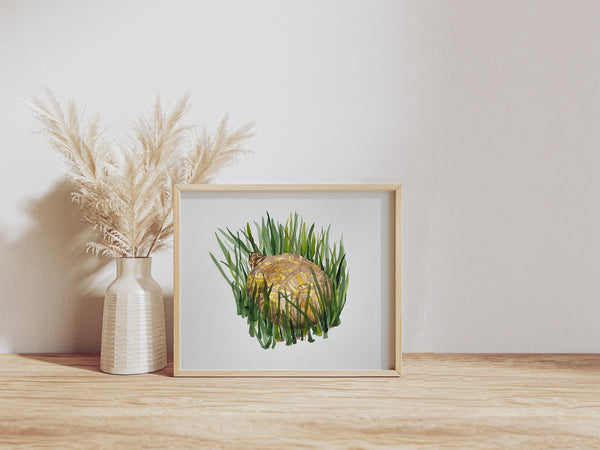 Box Turtle painting, ORIGINAL (not print) 10 X 8 Watercolor Painting