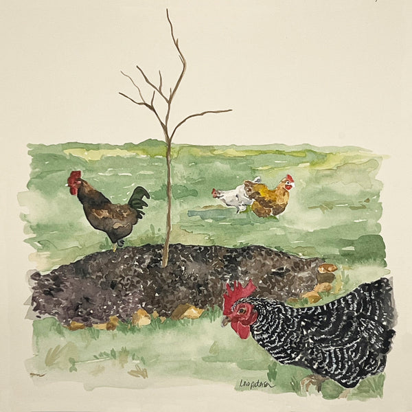 Free ranging chickens, ORIGINAL (not print) 10 X 10 Watercolor Painting