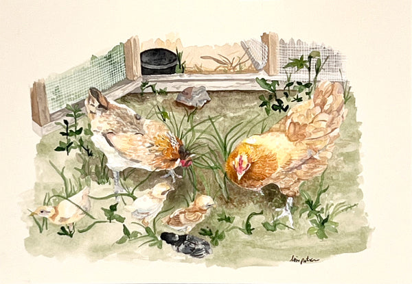 Grandma Hen, Mama Hen and chicks, ORIGINAL (not print) 10 X 7 inches Watercolor Painting