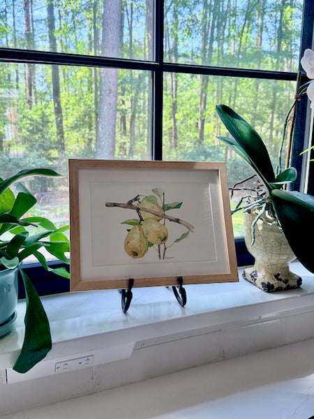 pears, ORIGINAL (not print) Watercolor Painting, framed