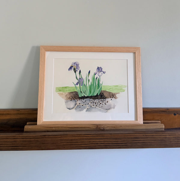 purple irises, ORIGINAL (not print) Watercolor Painting, framed