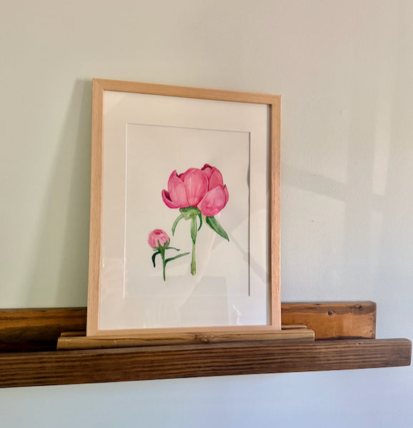 Pink Peonies, ORIGINAL (not print) Watercolor Painting