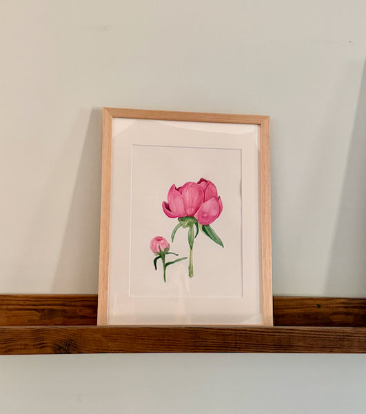 Pink Peonies, ORIGINAL (not print) Watercolor Painting