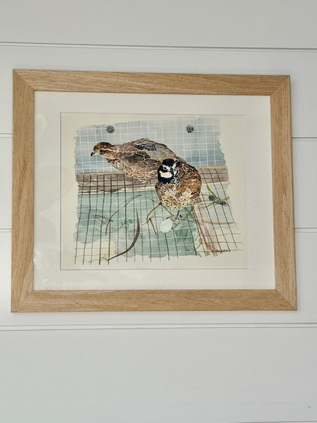 Quail, ORIGINAL (not print) FRAMED Watercolor Painting