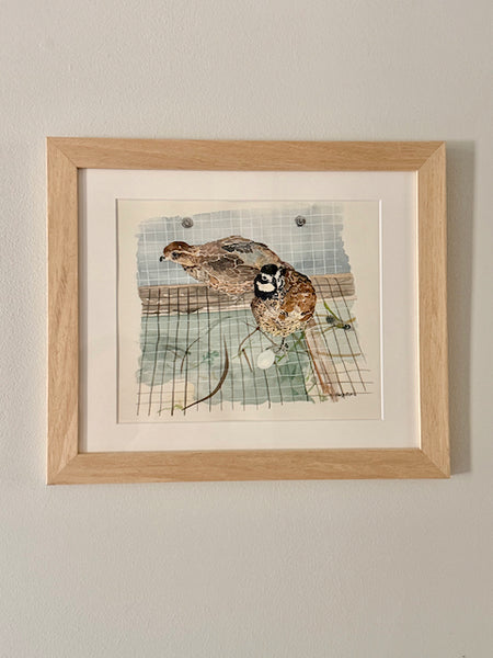 Quail, ORIGINAL (not print) FRAMED Watercolor Painting