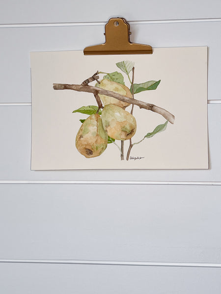pears, ORIGINAL (not print) Watercolor Painting, framed