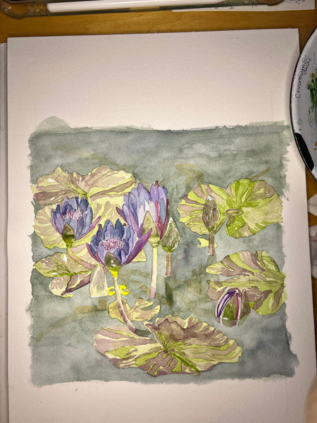 Water Lilies Duke Gardens original watercolor 8 x 8, framed 14 x 14