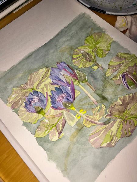 Water Lilies Duke Gardens original watercolor 8 x 8, framed 14 x 14