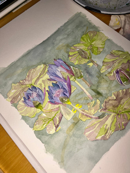 Water Lilies Duke Gardens original watercolor 8 x 8, framed 14 x 14