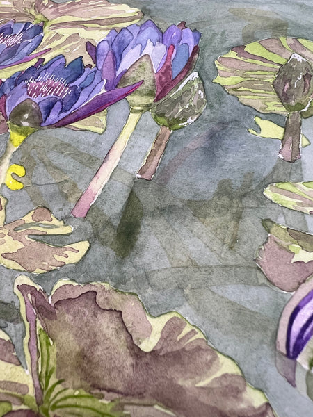 Water Lilies Duke Gardens original watercolor 8 x 8, framed 14 x 14