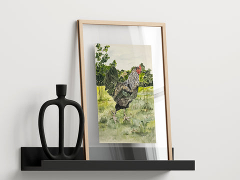 Strutting Big Roo the Rooster on the farm, ORIGINAL (not print) 10 1/4 X 14 Watercolor Painting