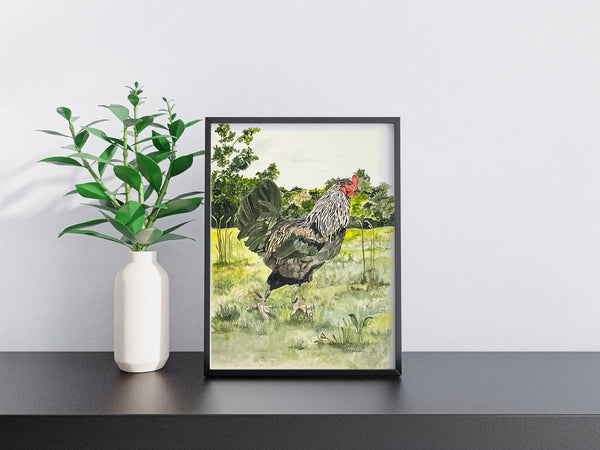 Strutting Big Roo the Rooster on the farm, ORIGINAL (not print) 10 1/4 X 14 Watercolor Painting