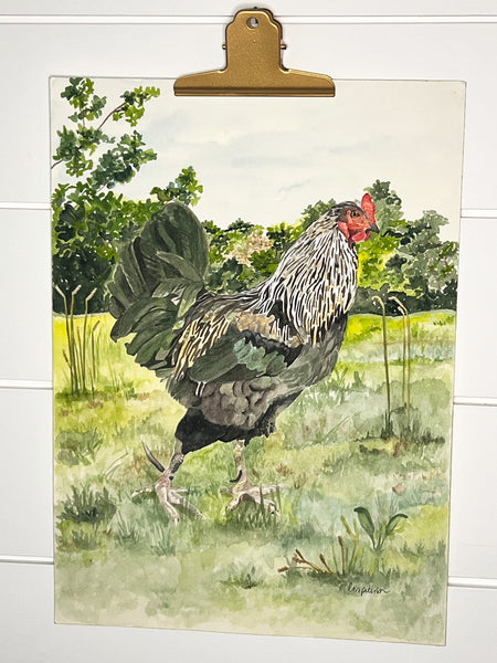 Strutting Big Roo the Rooster on the farm, ORIGINAL (not print) 10 1/4 X 14 Watercolor Painting