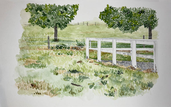 Chicken feathers in the grass, ORIGINAL (not print) 10 X 6 Watercolor Painting
