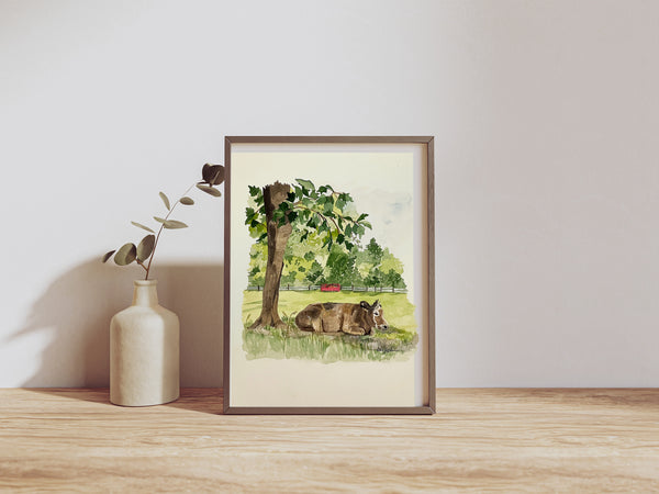 Steer finding shade on the farm, ORIGINAL (not print) 7 X 10 Watercolor Painting