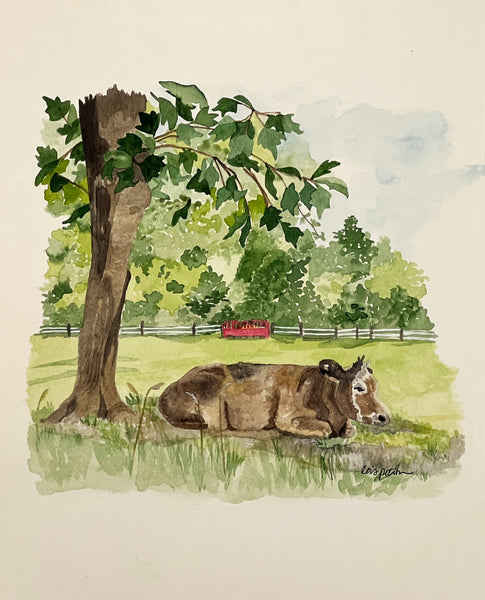 Steer finding shade on the farm, ORIGINAL (not print) 7 X 10 Watercolor Painting