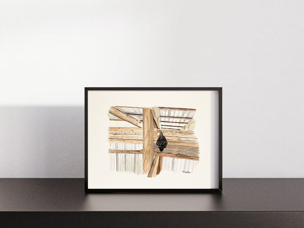Hen roosting in the rafters, ORIGINAL (not print) 10 X 8 inches Watercolor Painting