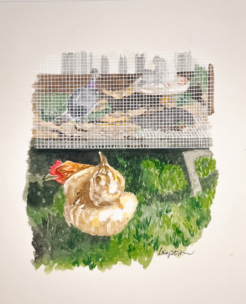 quail and hen on the farm, ORIGINAL (not print) 5 3/4 X 7 inches Watercolor Painting