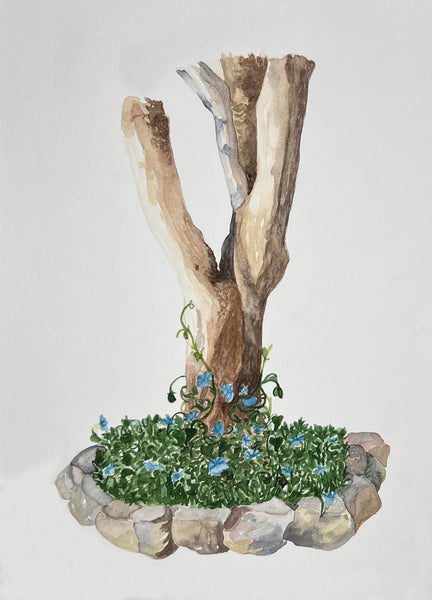 Morning Glory vines, ORIGINAL (not print) 7 X 10 Watercolor Painting