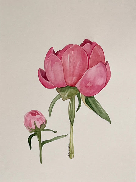 Pink Peonies, ORIGINAL (not print) Watercolor Painting