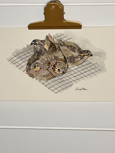 Quail Covey, ORIGINAL (not print) 9 X 5.5 inches Watercolor Painting