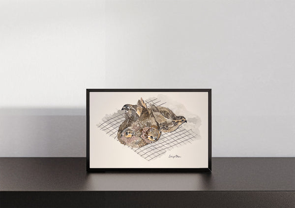 Quail Covey, ORIGINAL (not print) 9 X 5.5 inches Watercolor Painting