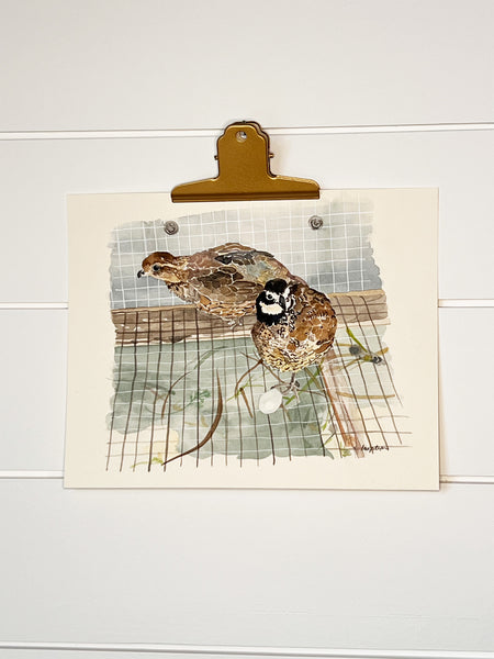 Quail, ORIGINAL (not print) FRAMED Watercolor Painting