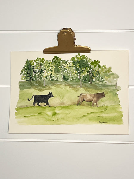 Steers in pasture, ORIGINAL (not print) 10 X 7 Watercolor Painting