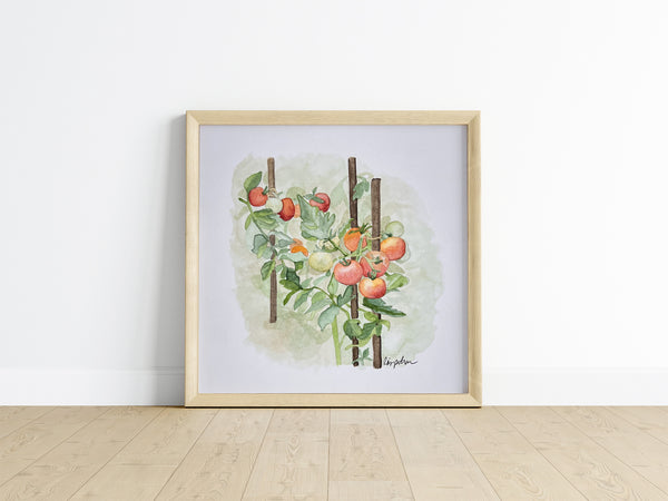 tomatoes on the vine, ORIGINAL (not print) 6 X 6 inches Watercolor Painting