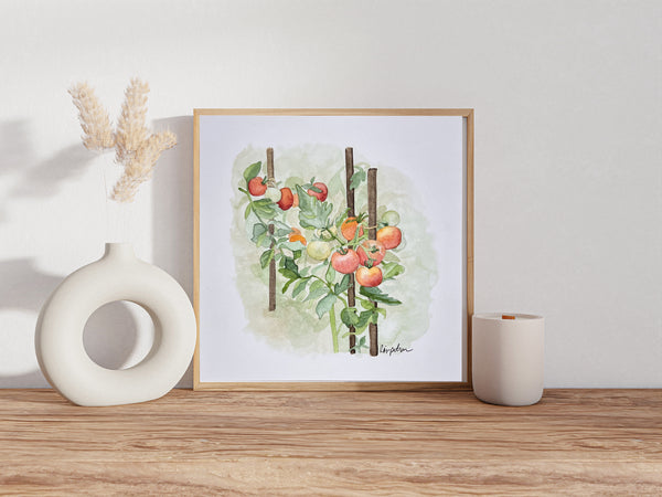 tomatoes on the vine, ORIGINAL (not print) 6 X 6 inches Watercolor Painting