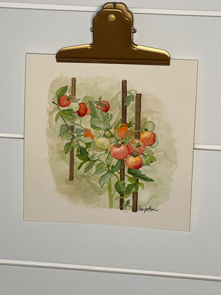 tomatoes on the vine, ORIGINAL (not print) 6 X 6 inches Watercolor Painting