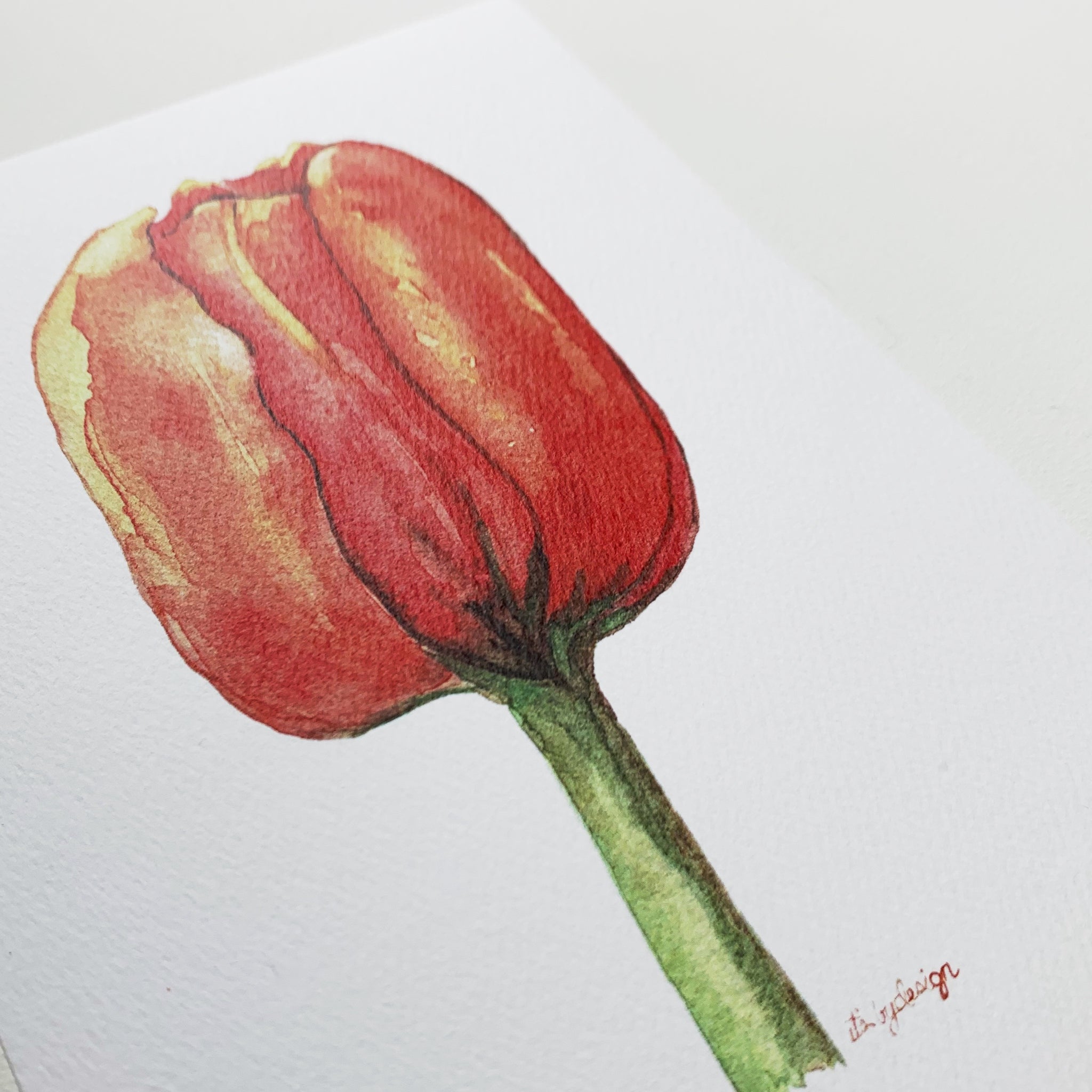 ロイベッサー『BEAUTIFUL TULIPS』☆オリジナル作品