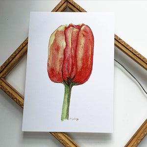 orange/red tulip / 5 x 7 inch / PRINT from original watercolor / flower print Active